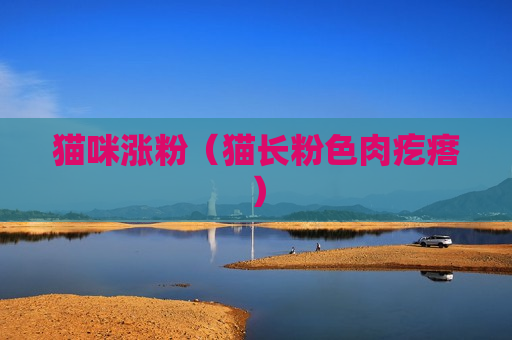 猫咪涨粉（猫长粉色肉疙瘩）