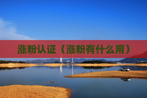 涨粉认证（涨粉有什么用）