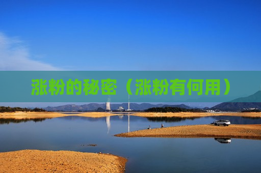 涨粉的秘密（涨粉有何用）