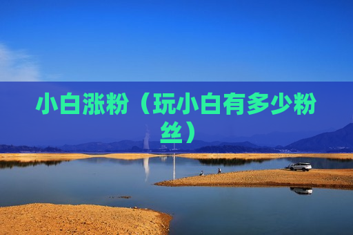 小白涨粉（玩小白有多少粉丝）