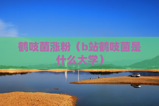 鹤吱菌涨粉（b站鹤吱菌是什么大学）