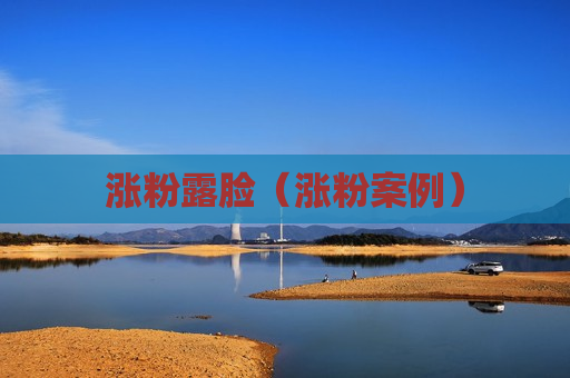 涨粉露脸（涨粉案例）