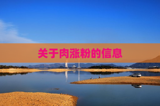 关于肉涨粉的信息