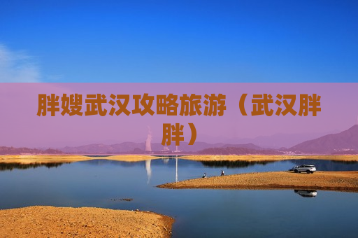 胖嫂武汉攻略旅游（武汉胖胖）