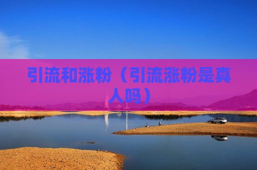 引流和涨粉（引流涨粉是真人吗）