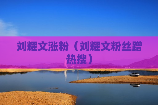 刘耀文涨粉（刘耀文粉丝蹭热搜）