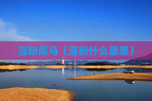 涨粉黑马（涨粉什么意思）