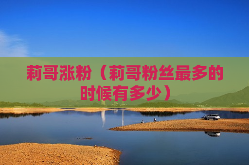 莉哥涨粉（莉哥粉丝最多的时候有多少）
