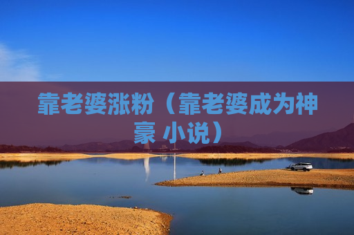 靠老婆涨粉（靠老婆成为神豪 小说）