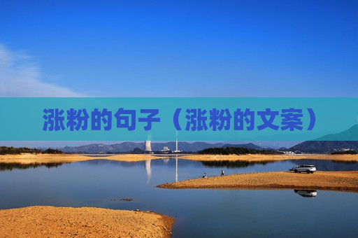 涨粉的句子（涨粉的文案）