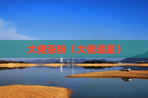 大佬涨粉（大佬追星）