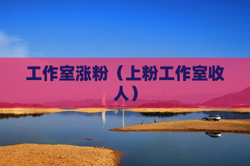 工作室涨粉（上粉工作室收人）