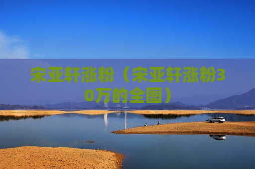 宋亚轩涨粉（宋亚轩涨粉30万的全图）