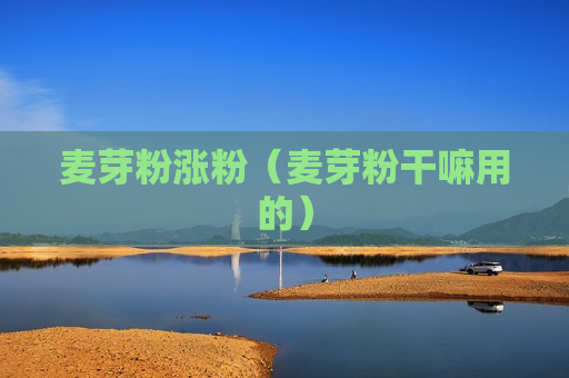 麦芽粉涨粉（麦芽粉干嘛用的）