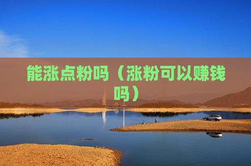 能涨点粉吗（涨粉可以赚钱吗）