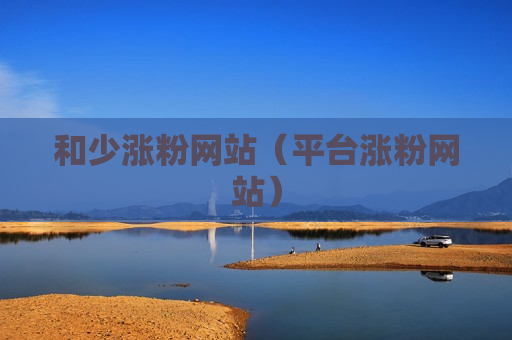 和少涨粉网站（平台涨粉网站）