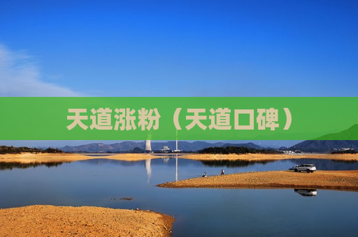 天道涨粉（天道口碑）