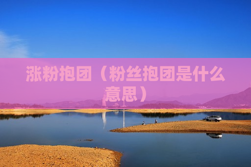 涨粉抱团（粉丝抱团是什么意思）