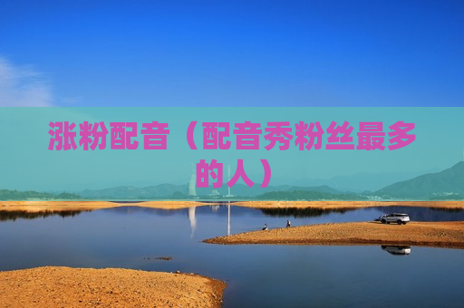 涨粉配音（配音秀粉丝最多的人）