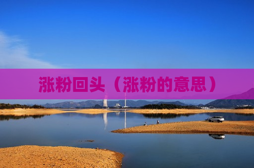 涨粉回头（涨粉的意思）
