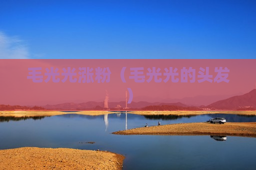 毛光光涨粉（毛光光的头发）