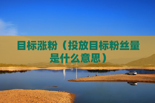 目标涨粉（投放目标粉丝量是什么意思）