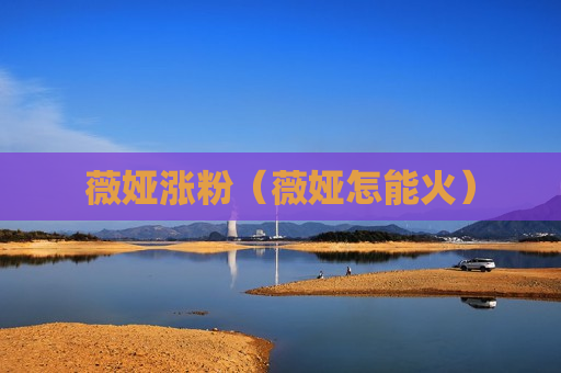 薇娅涨粉（薇娅怎能火）