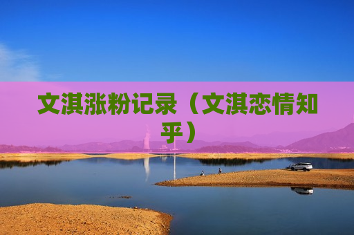 文淇涨粉记录（文淇恋情知乎）