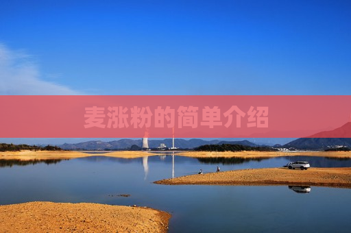 麦涨粉的简单介绍