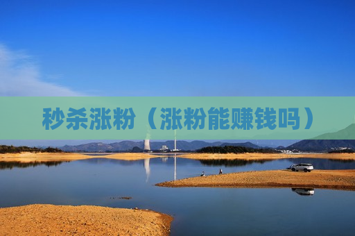 秒杀涨粉（涨粉能赚钱吗）