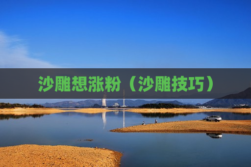 沙雕想涨粉（沙雕技巧）