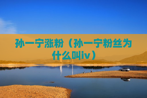 孙一宁涨粉（孙一宁粉丝为什么叫iv）