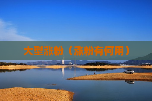 大型涨粉（涨粉有何用）