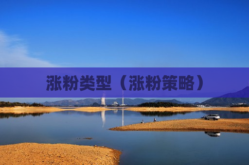涨粉类型（涨粉策略）