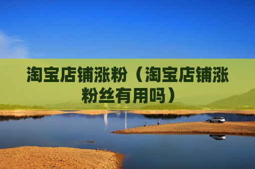 淘宝店铺涨粉（淘宝店铺涨粉丝有用吗）