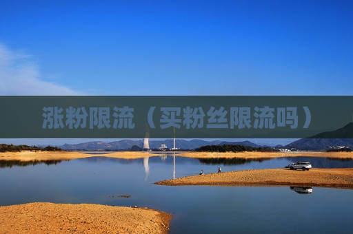 涨粉限流（买粉丝限流吗）