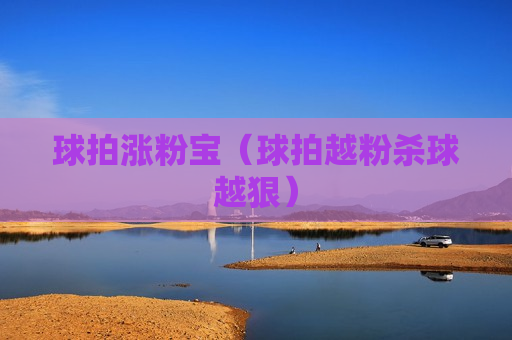 球拍涨粉宝（球拍越粉杀球越狠）