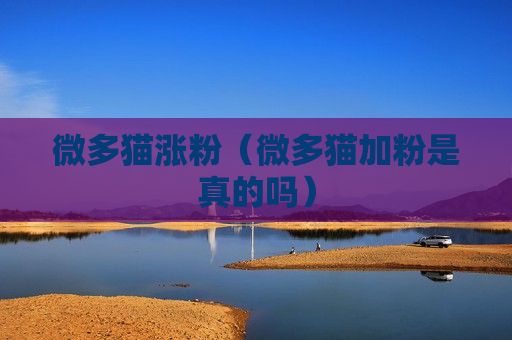 微多猫涨粉（微多猫加粉是真的吗）