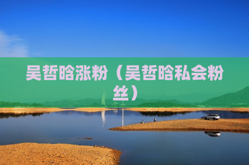 吴哲晗涨粉（吴哲晗私会粉丝）