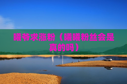 曦爷求涨粉（曦曦粉丝会是真的吗）