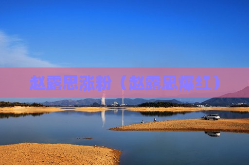 赵露思涨粉（赵露思爆红）