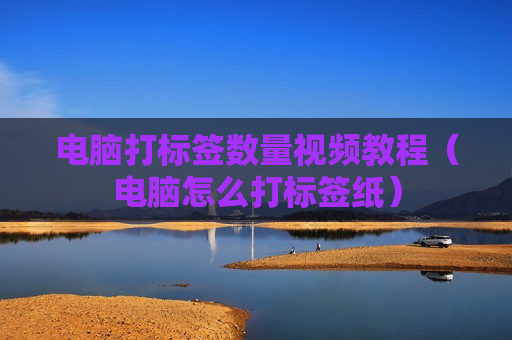 电脑打标签数量视频教程（电脑怎么打标签纸）