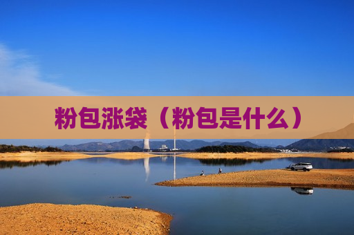 粉包涨袋（粉包是什么）