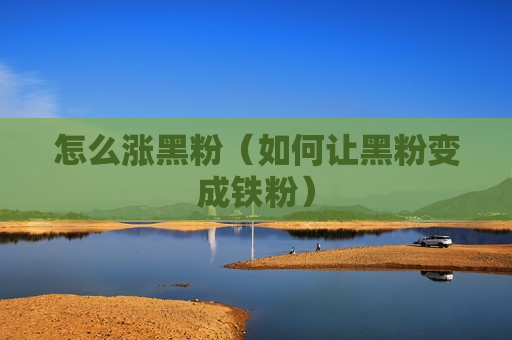 怎么涨黑粉（如何让黑粉变成铁粉）