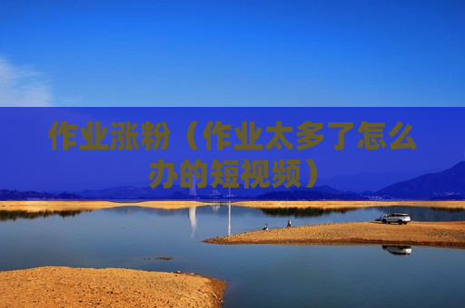 作业涨粉（作业太多了怎么办的短视频）