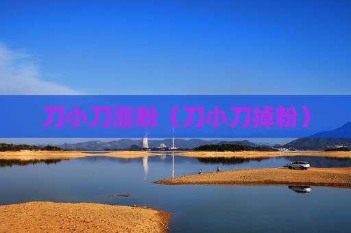 刀小刀涨粉（刀小刀掉粉）