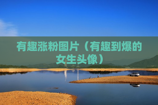 有趣涨粉图片（有趣到爆的女生头像）