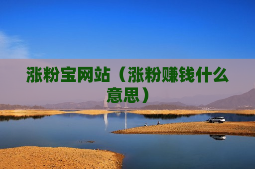 涨粉宝网站（涨粉赚钱什么意思）