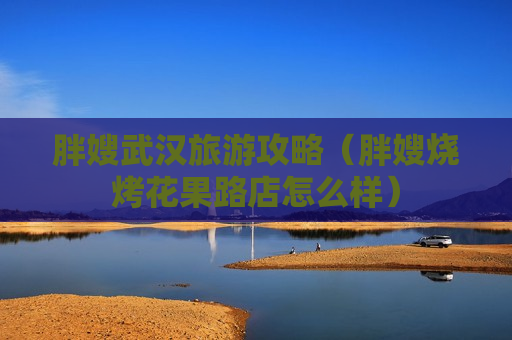 胖嫂武汉旅游攻略（胖嫂烧烤花果路店怎么样）