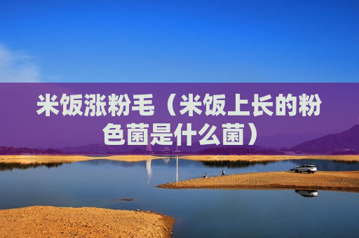 米饭涨粉毛（米饭上长的粉色菌是什么菌）